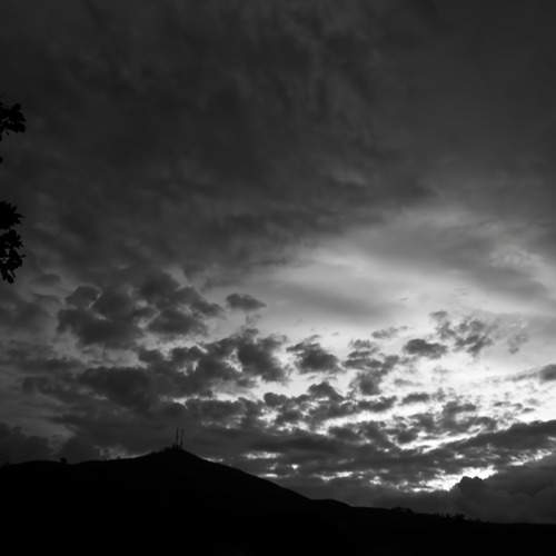 Photo #11946555