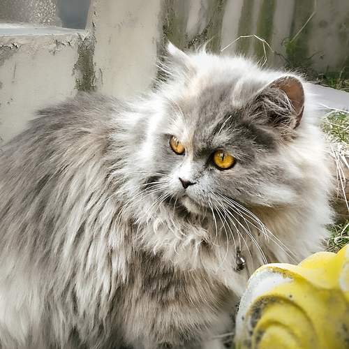 Photo #11946626