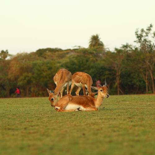 Photo #11946664