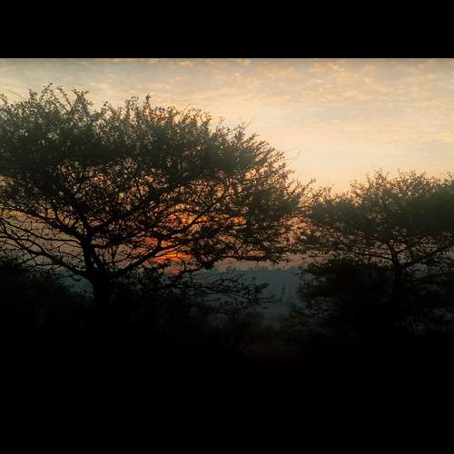 Photo #11946678