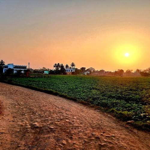 Photo #11946735