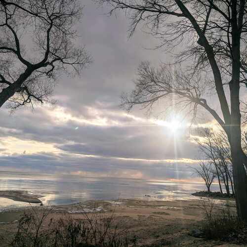 Photo #11946818