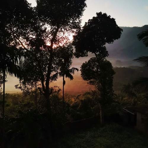 Photo #11946829