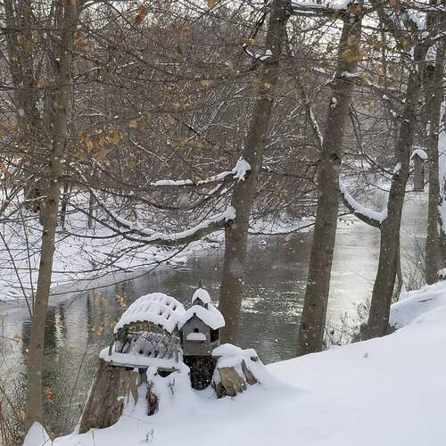 Photo #11946988