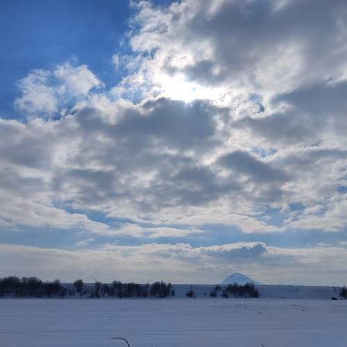 Photo #11946996