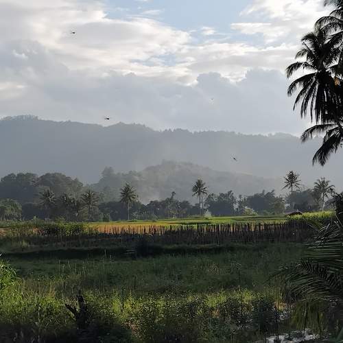 Baruah Duri