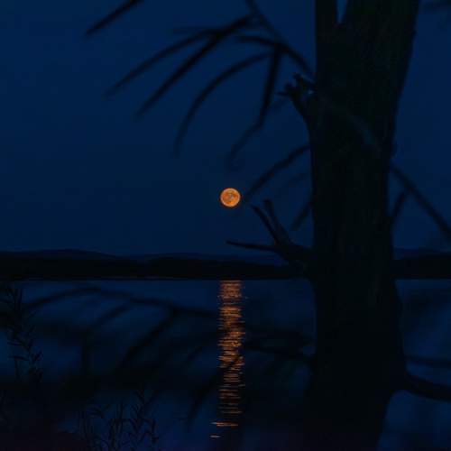 Photo #11947226