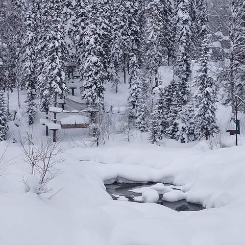 Photo #11947228