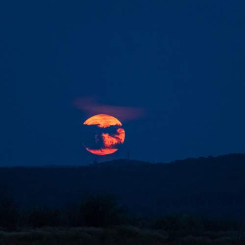 Photo #11947249