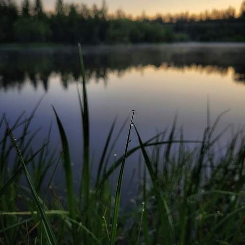 Photo #11947250
