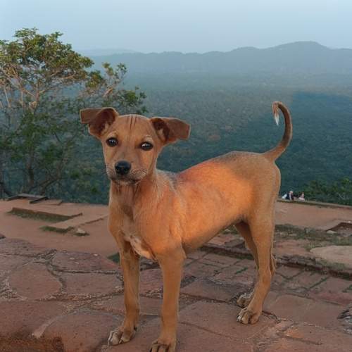 Photo #11947318