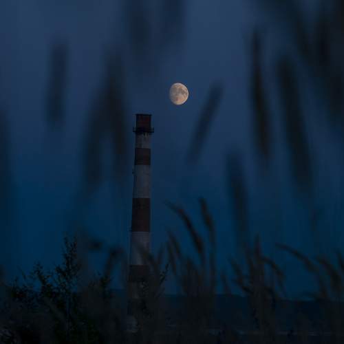Photo #11947322