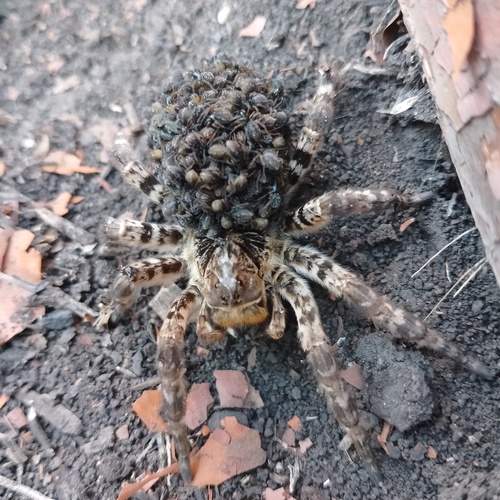 Photo #11947404