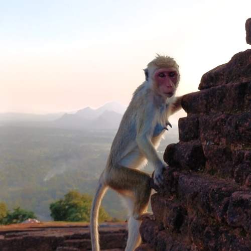 Photo #11947426