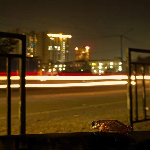 Photo #11947458