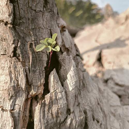 Photo #11947508
