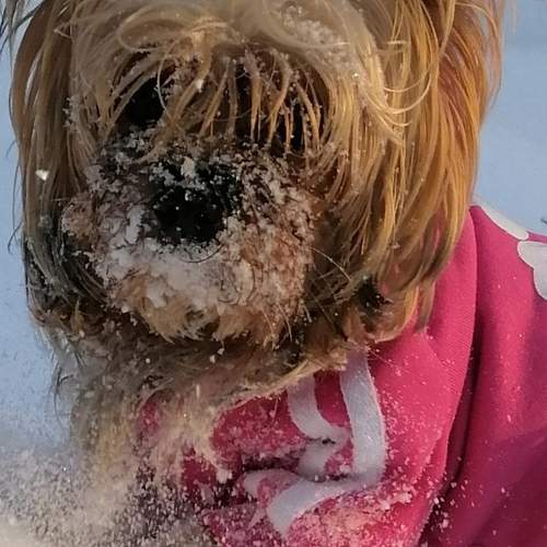 Photo #11947516