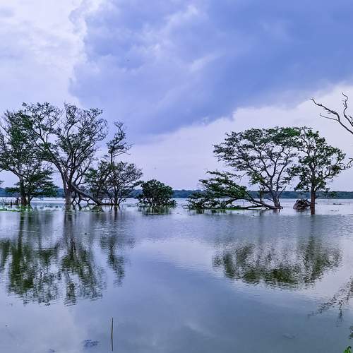 Reflection — where sky, water, and land merge as one