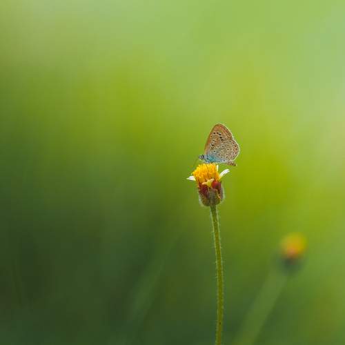 Photo #11947647