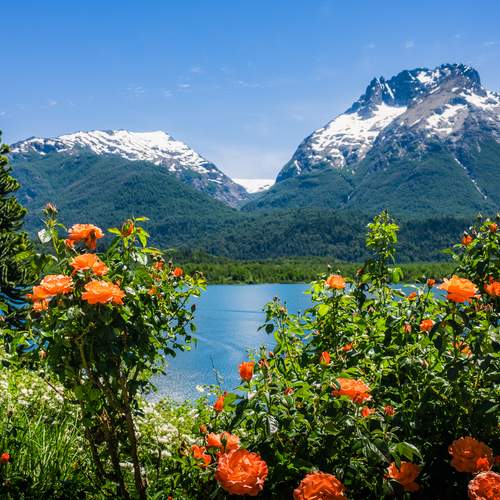 Розы и вершины