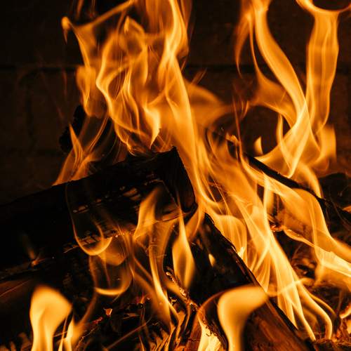 Photo #11947865