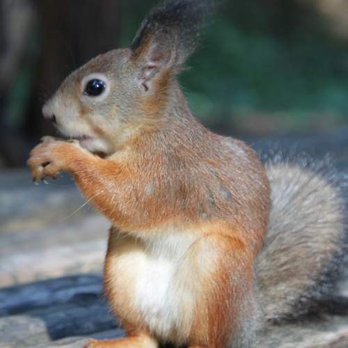 Photo #11947882