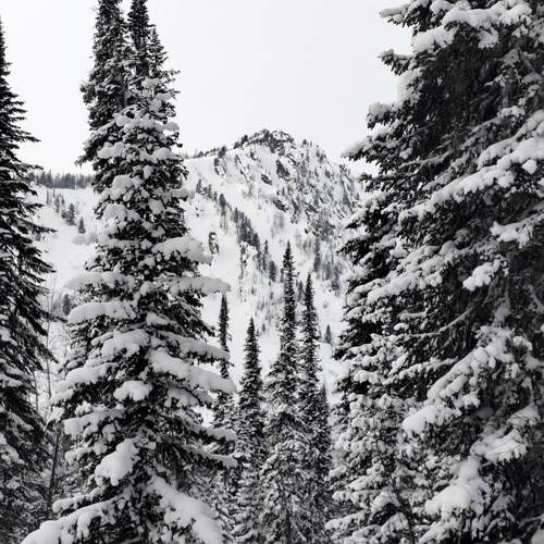 Photo #11947961