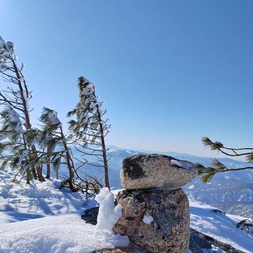 Мороз и солнце
