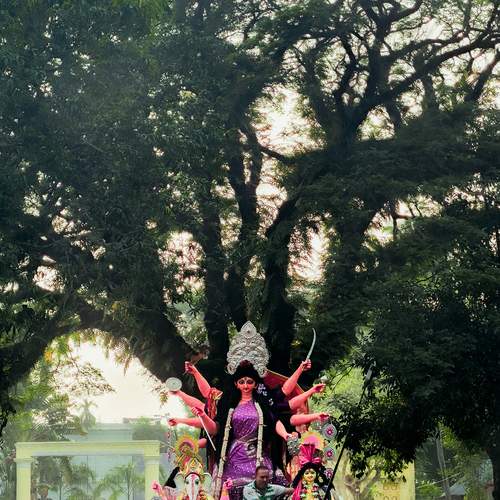 Photo #11947985