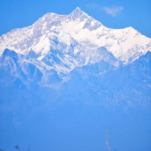 Photo #11948035