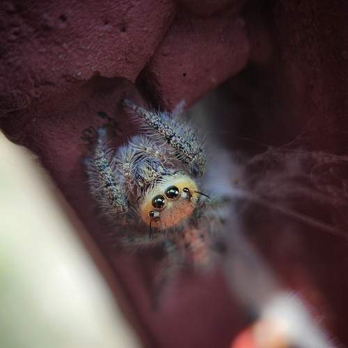 Photo #11948118