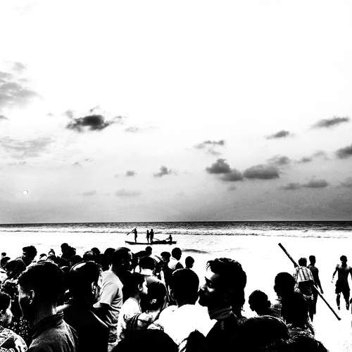 Photo #11948225