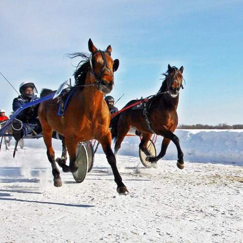Photo #11948312
