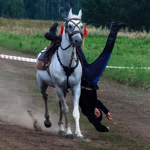 Photo #11948315