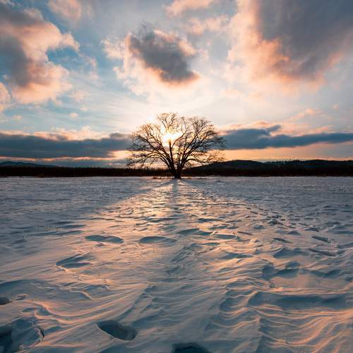 Фотография #11948374