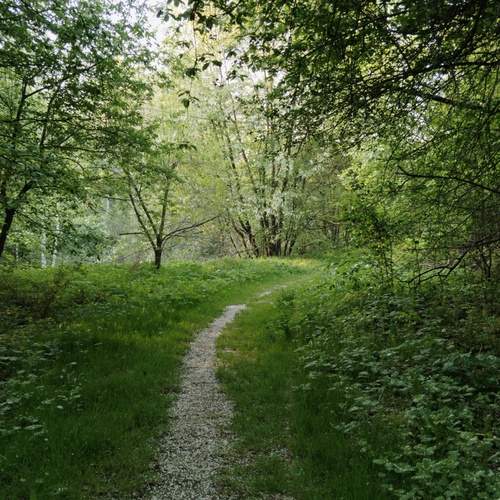 Photo #11948428
