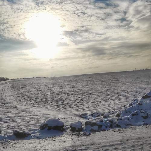Photo #11948570