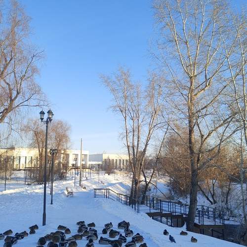 Photo #11948648