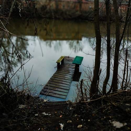 Photo #11948652