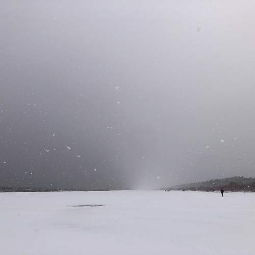 Photo #11948716