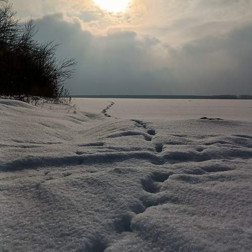 Photo #11948735