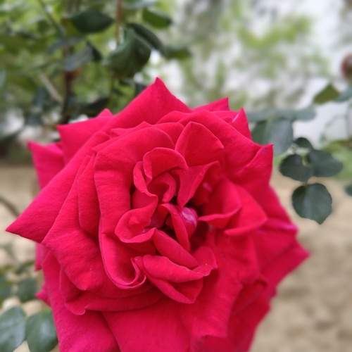 Photo #11948875