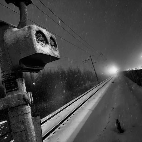 Photo #11948983