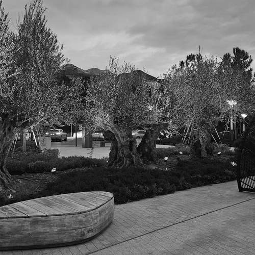 Photo #11949018