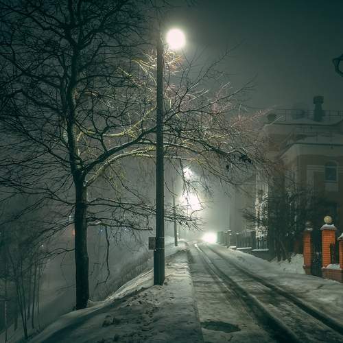 Photo #11949106