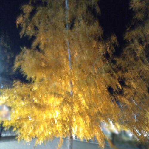 Photo #11949182