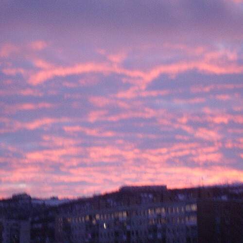 Photo #11949281