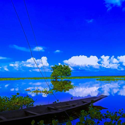 Serene Echoes: Nature’s Mirror of Tranquility