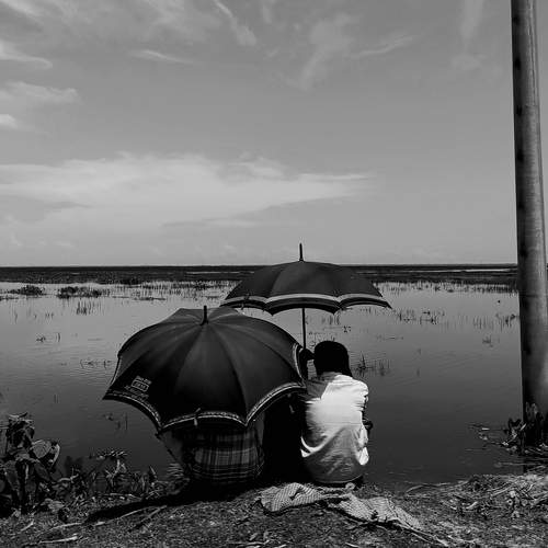 Whispers of Silence: A Timeless Reflection