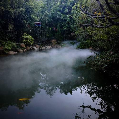 Photo #11949663